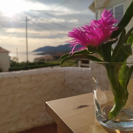 Apartament Port De La Selva El Port De La Selva Εξωτερικό φωτογραφία