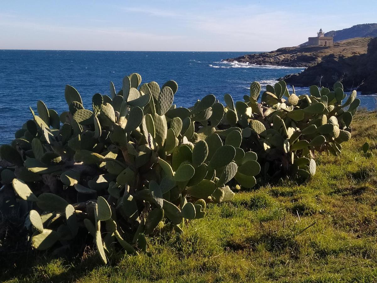 Apartament Port De La Selva El Port De La Selva Εξωτερικό φωτογραφία